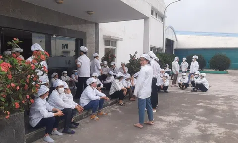 Nghệ An: Công nhân Công ty TNHH Điện tử BSE ngừng việc tập thể