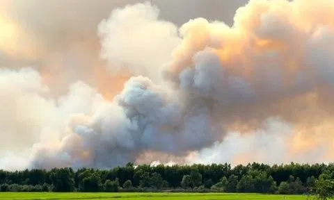 Kiên Giang: Đã khống chế được vụ cháy rừng tràm ở Giang Thành