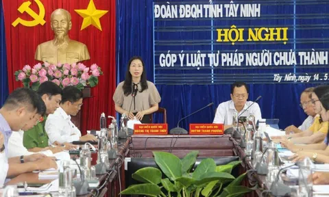 Tây Ninh: Góp ý dự thảo Luật Tư pháp người chưa thành niên