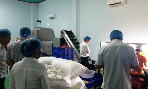 Hàng chục khách du lịch nghi ngộ độc thực phẩm: Bình Thuận chỉ đạo khẩn