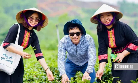 Gia tăng giá trị cho cây chè trong phát triển du lịch Lạng Sơn