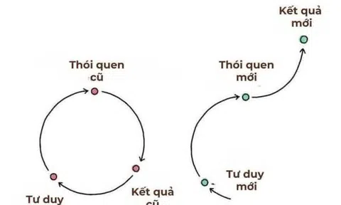 Những lời khuyên vàng cho cuộc sống